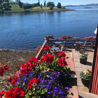 Blomster på terrasse som ser utover vann